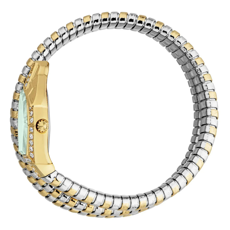 Just Cavalli Mesmerizing Green Dial Two Tone Steel Strap Watch for Women - JC1L304M0065