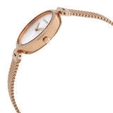 Calvin Klein Authentic Silver Dial Rose Gold Mesh Bracelet Watch for Women - K8G23626