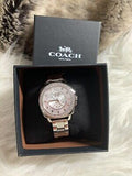 Coach Mini Boyfriend Diamonds Silver Dial Silver Steel Strap Watch for Women - 14501699